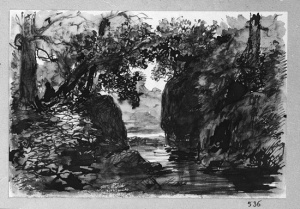 Dibuix - Paisatge boscós amb riu -